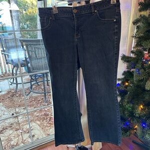 Lane Bryant Bootcut Denim Jeans